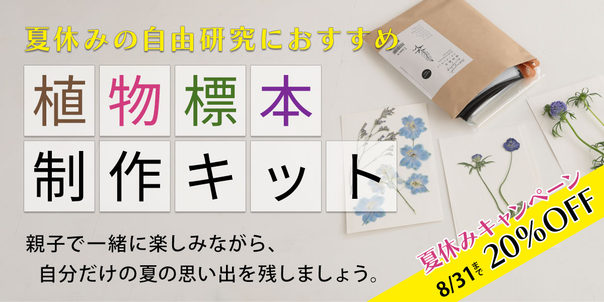 夏休みの自由研究におすすめ 植物標本制作キット - 8/31まで20％OFF！