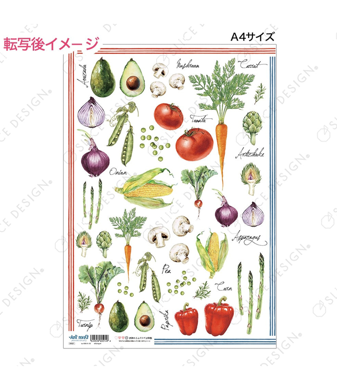 野菜 A4