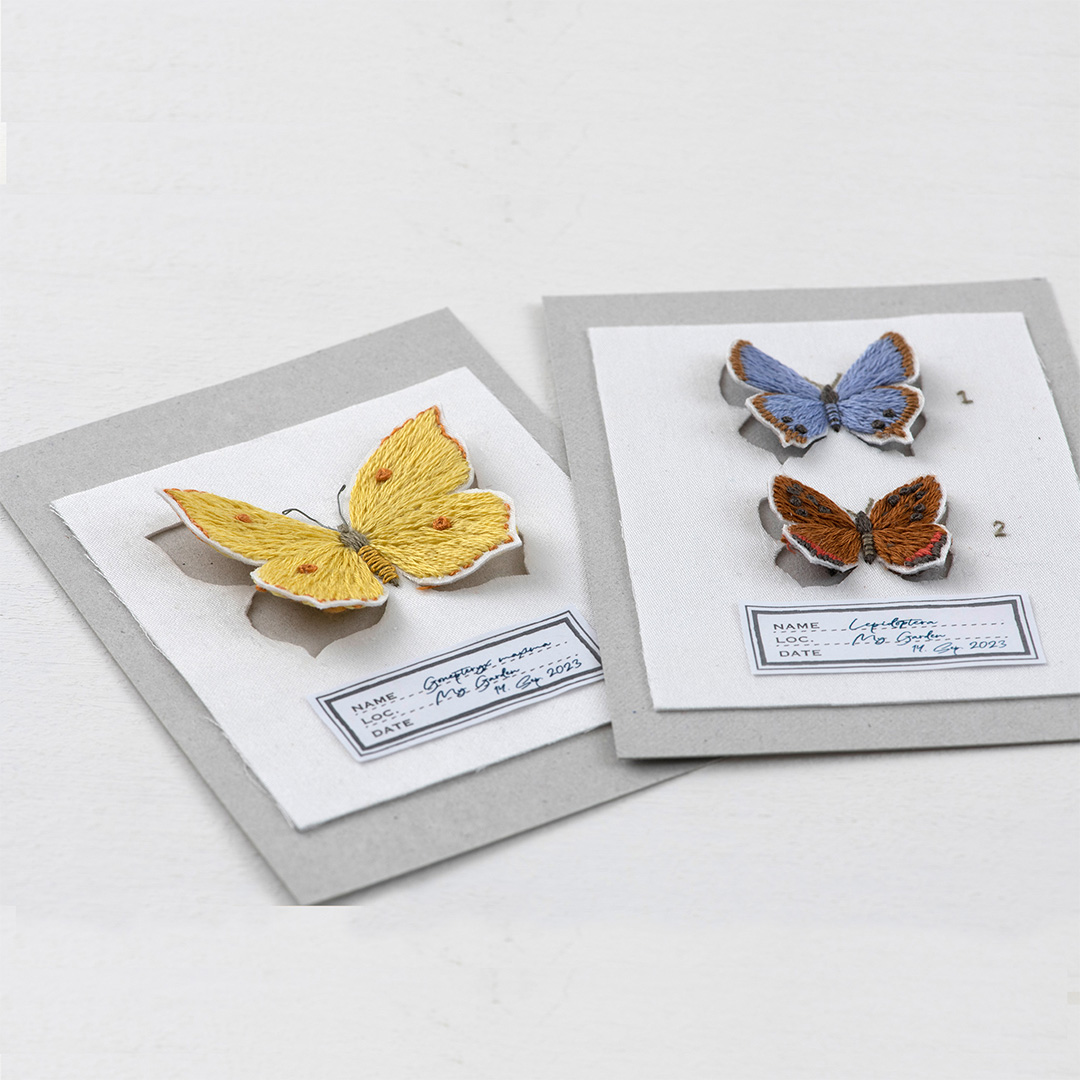 青木和子さんの刺しゅう　蝶の標本カード