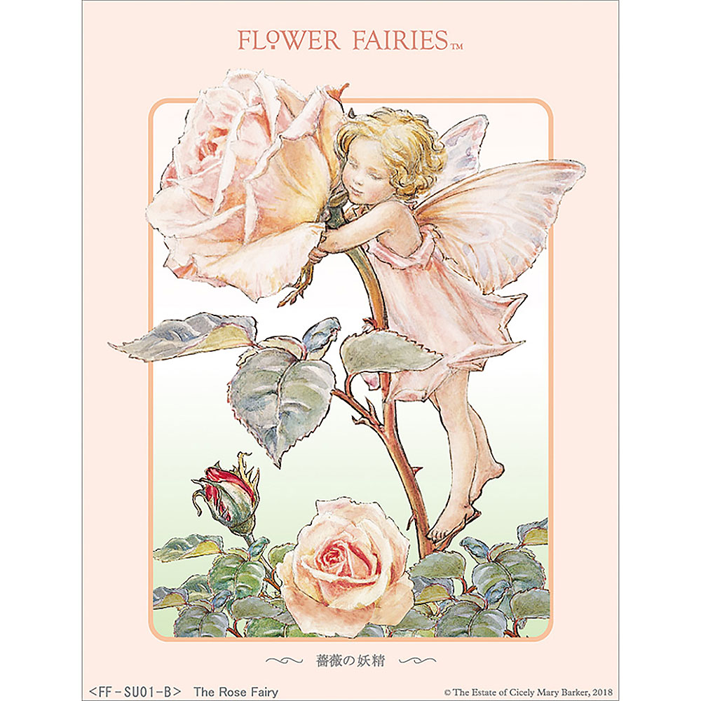 フラワーフェアリーズ シャドーボックス 薔薇の妖精【溶剤なし
